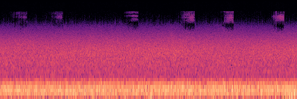 Spectrogram: Grasshoppers Stridulating